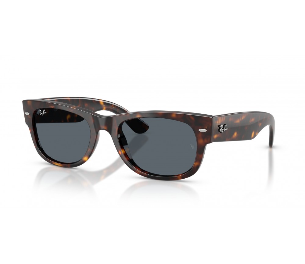 Ray Ban Sun 0832S Sunglasses col. 902/R5